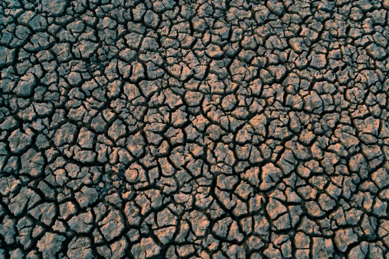 Close-up of cracked dry soil in a drought-affected landscape.