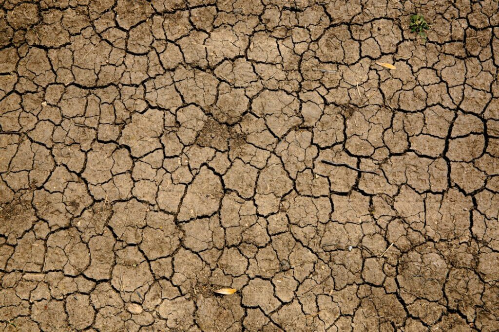 Cracked dry soil illustrating drought risk during a strong El Nino forecast