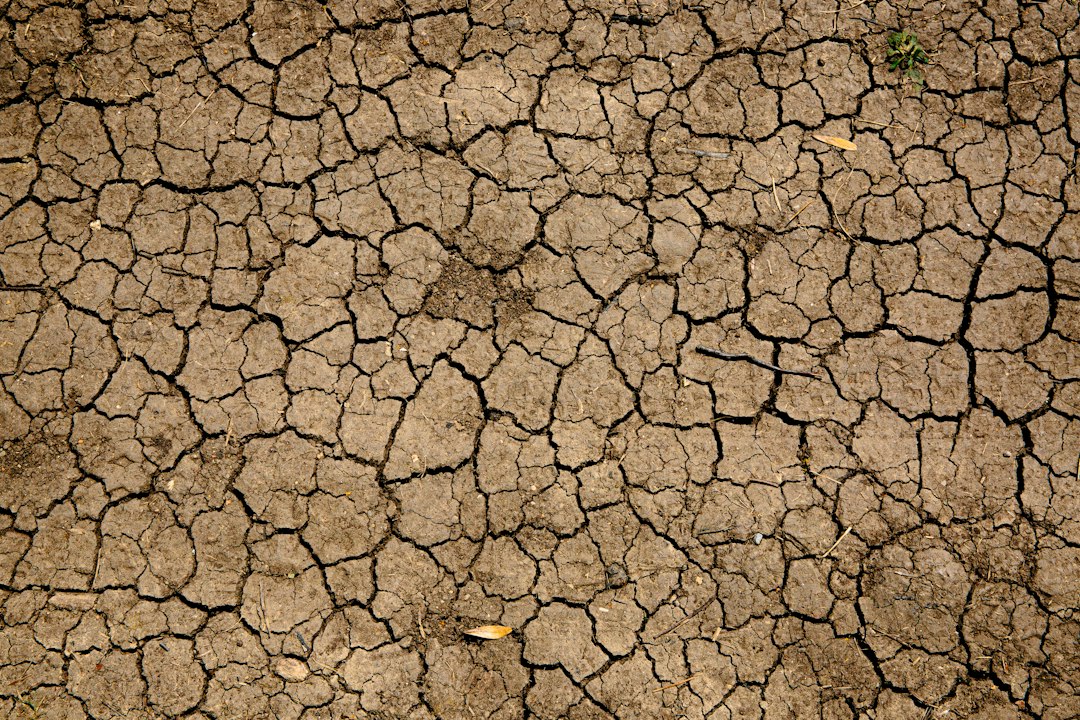 Cracked dry soil illustrating drought risk during a strong El Nino forecast