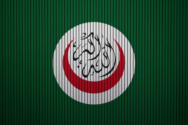 OIC Flag