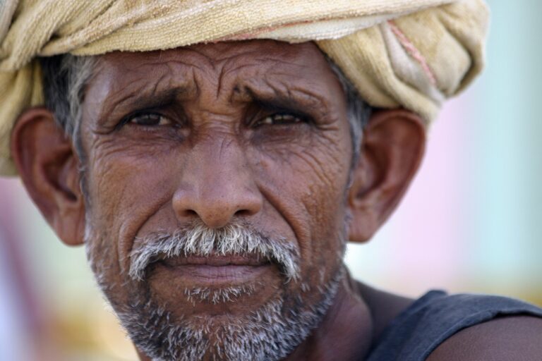 agriculture market in india